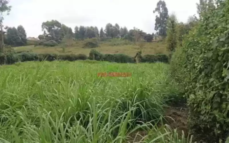 Ngong land for sale Image